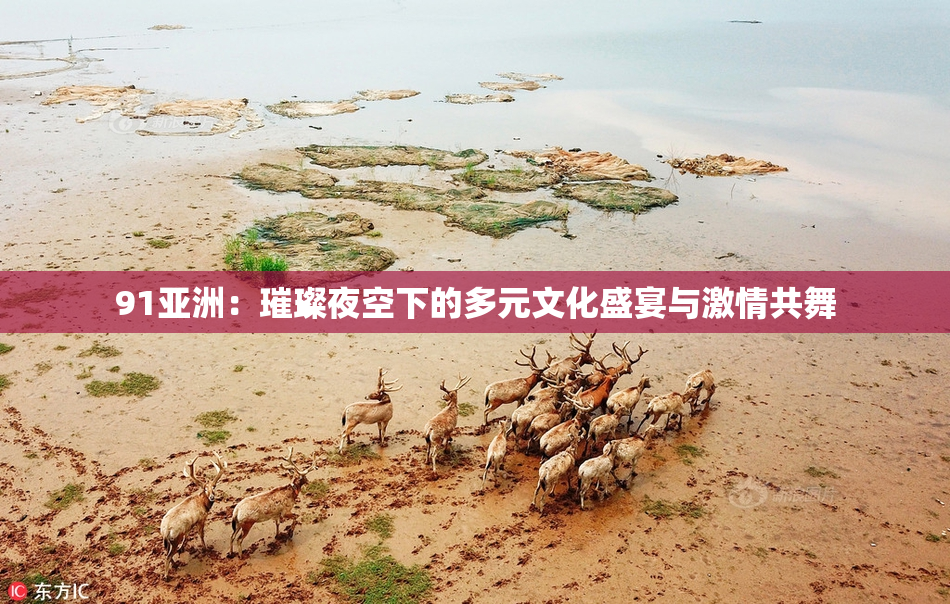 91亚洲：璀璨夜空下的多元文化盛宴与激情共舞