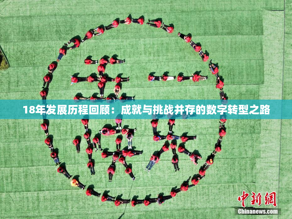 18年发展历程回顾：成就与挑战并存的数字转型之路