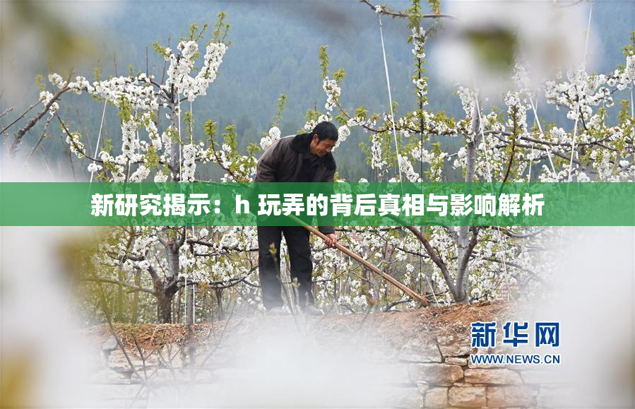新研究揭示：h 玩弄的背后真相与影响解析