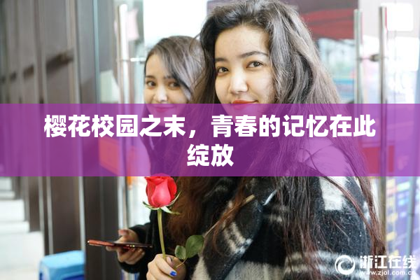 樱花校园之末，青春的记忆在此绽放