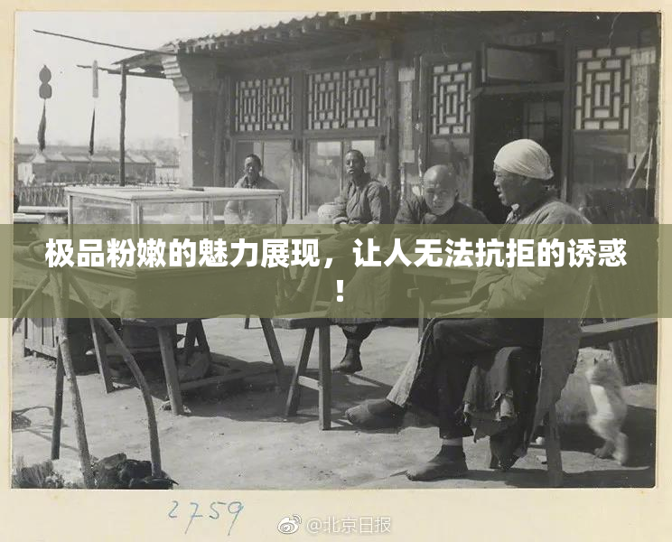 极品粉嫩的魅力展现，让人无法抗拒的诱惑！