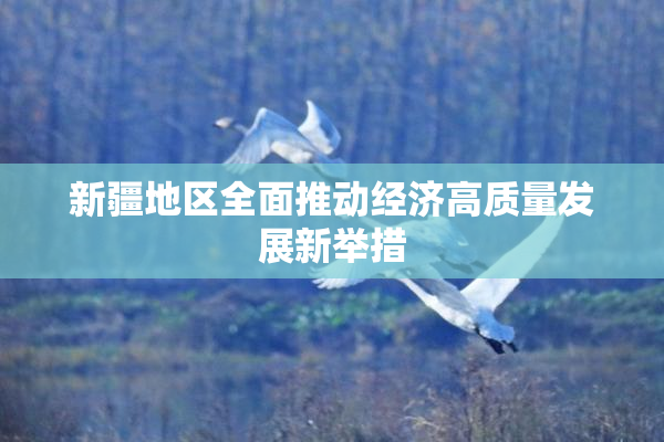 新疆地区全面推动经济高质量发展新举措