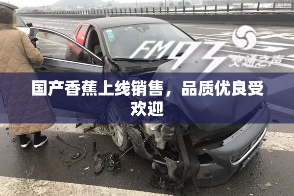 国产香蕉上线销售，品质优良受欢迎
