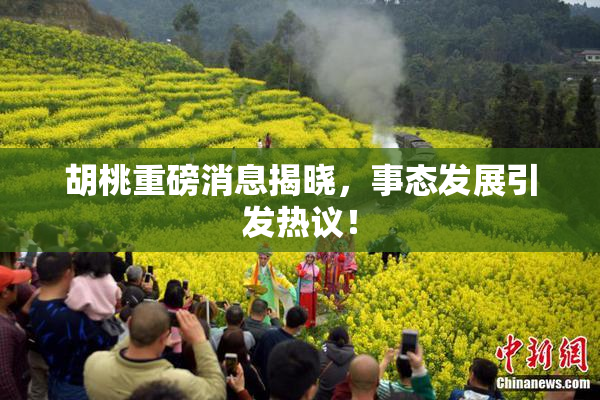 胡桃重磅消息揭晓，事态发展引发热议！
