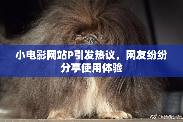 小电影网站P引发热议，网友纷纷分享使用体验