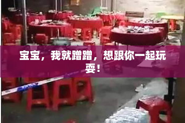 宝宝，我就蹭蹭，想跟你一起玩耍！