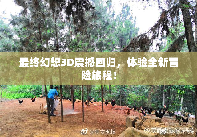 最终幻想3D震撼回归，体验全新冒险旅程！