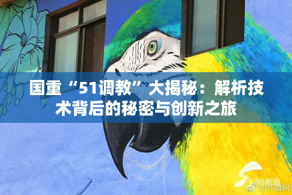 国重“51调教”大揭秘：解析技术背后的秘密与创新之旅