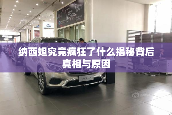 纳西妲究竟疯狂了什么揭秘背后真相与原因