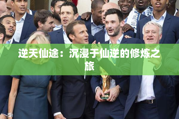 逆天仙途：沉浸于仙逆的修炼之旅