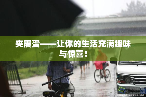 夹震蛋——让你的生活充满趣味与惊喜！