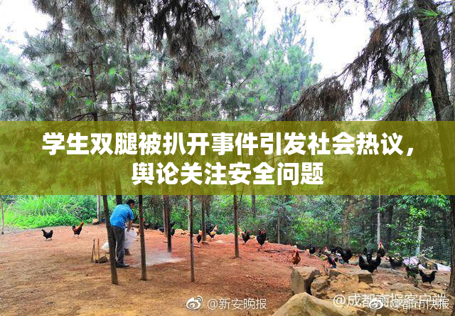 学生双腿被扒开事件引发社会热议，舆论关注安全问题