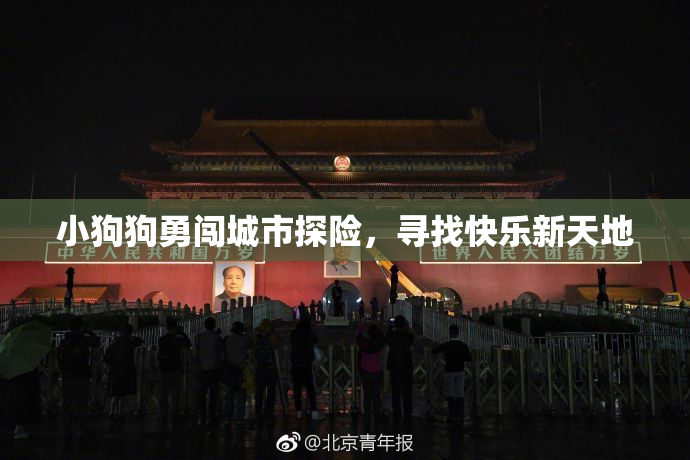 小狗狗勇闯城市探险，寻找快乐新天地