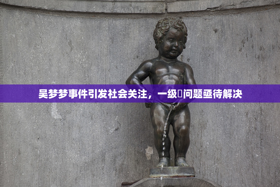 吴梦梦事件引发社会关注，一级婬问题亟待解决