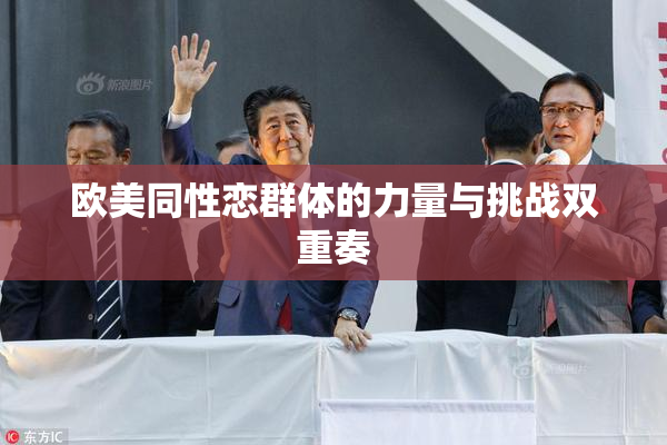 欧美同性恋群体的力量与挑战双重奏