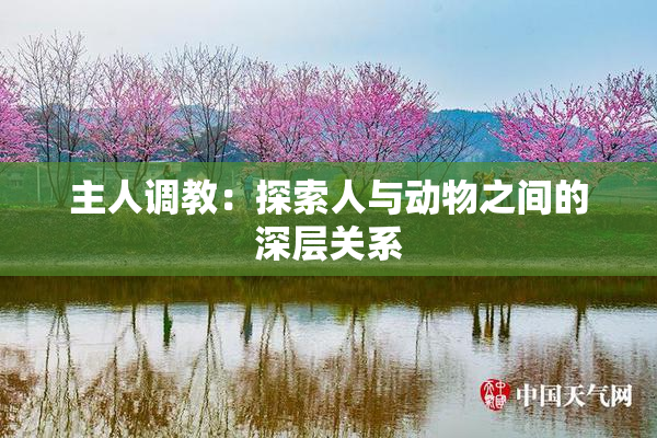 主人调教：探索人与动物之间的深层关系