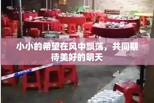 小小的希望在风中飘荡，共同期待美好的明天
