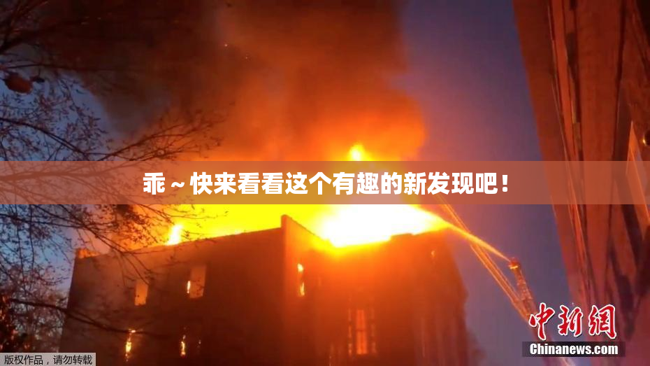 乖～快来看看这个有趣的新发现吧！