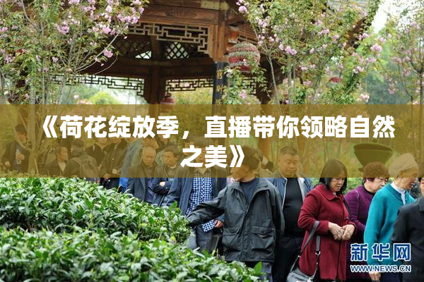 《荷花绽放季，直播带你领略自然之美》