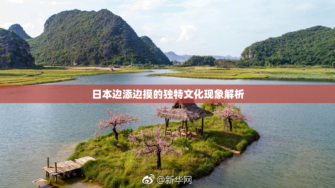 日本边添边摸的独特文化现象解析