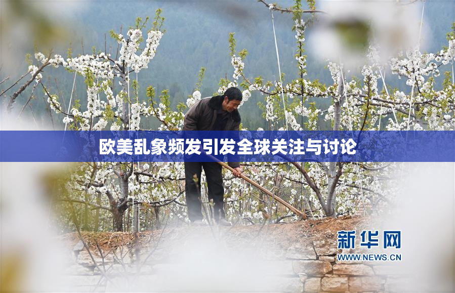 欧美乱象频发引发全球关注与讨论