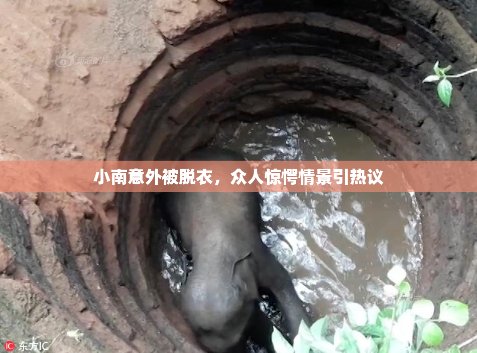 小南意外被脱衣，众人惊愕情景引热议