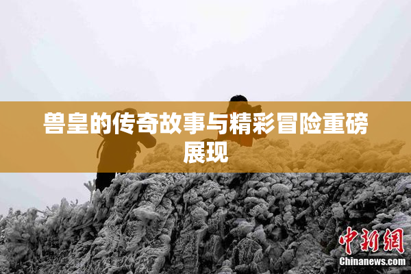 兽皇的传奇故事与精彩冒险重磅展现