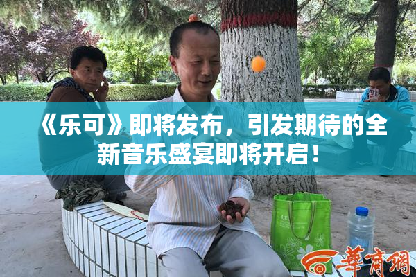 《乐可》即将发布，引发期待的全新音乐盛宴即将开启！