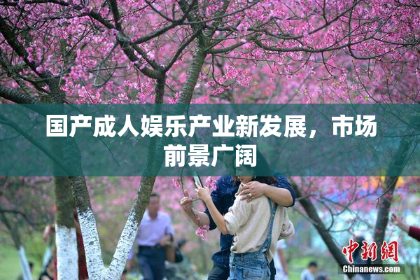 国产成人娱乐产业新发展，市场前景广阔