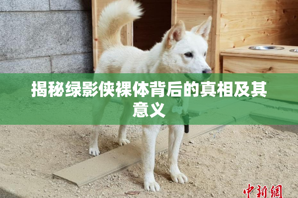 揭秘绿影侠裸体背后的真相及其意义
