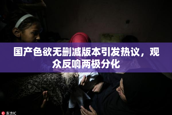 国产色欲无删减版本引发热议，观众反响两极分化