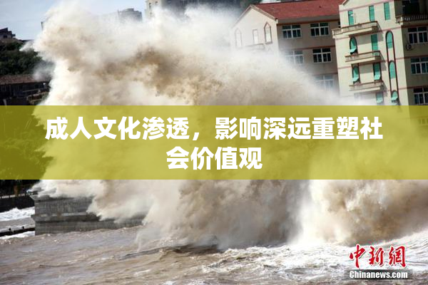 成人文化渗透，影响深远重塑社会价值观