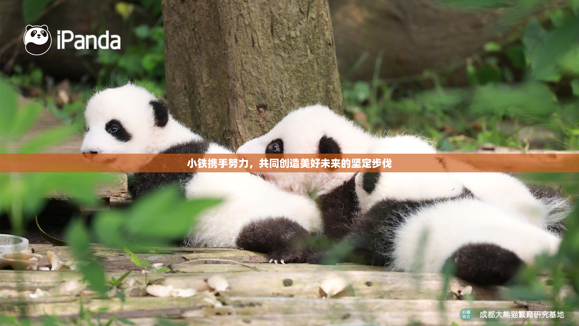 小铁携手努力，共同创造美好未来的坚定步伐