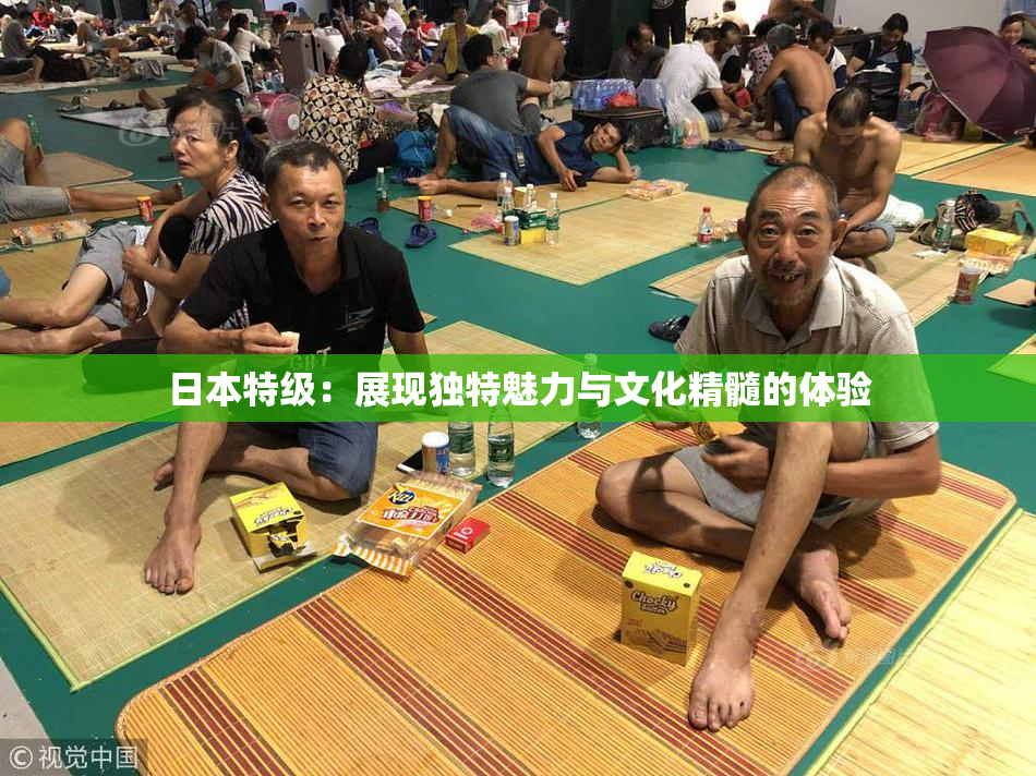 日本特级：展现独特魅力与文化精髓的体验