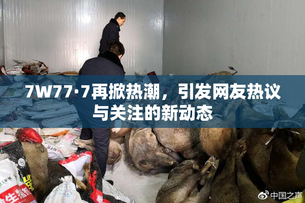 7W77·7再掀热潮，引发网友热议与关注的新动态