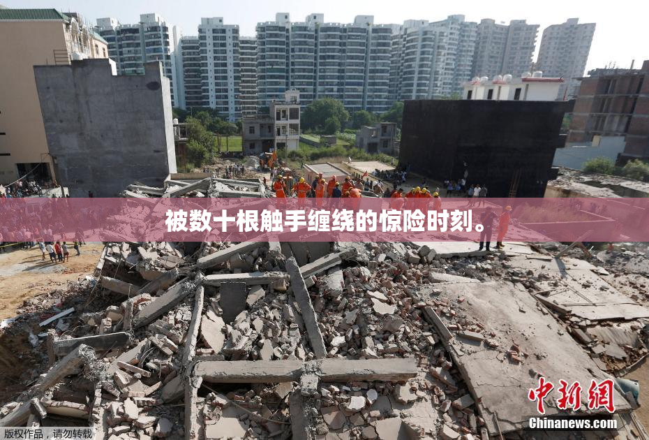 被数十根触手缠绕的惊险时刻。