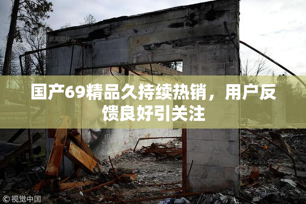 国产69精品久持续热销，用户反馈良好引关注