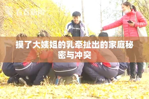 摸了大姨姐的乳牵扯出的家庭秘密与冲突