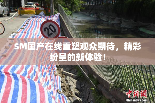 SM国产在线重塑观众期待，精彩纷呈的新体验！