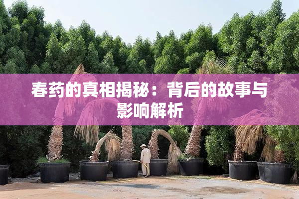 春药的真相揭秘：背后的故事与影响解析