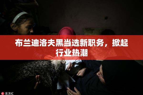 布兰迪洛夫黑当选新职务，掀起行业热潮