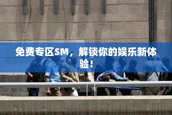 免费专区SM，解锁你的娱乐新体验！