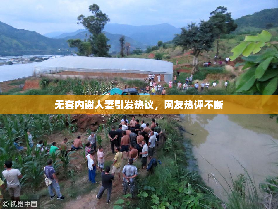 无套内谢人妻引发热议，网友热评不断