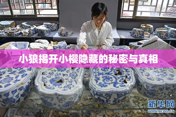小狼揭开小樱隐藏的秘密与真相