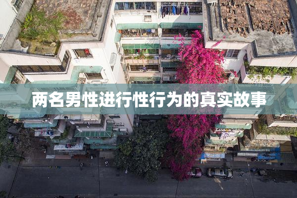 两名男性进行性行为的真实故事