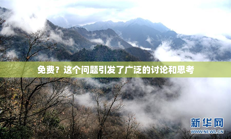 免费？这个问题引发了广泛的讨论和思考