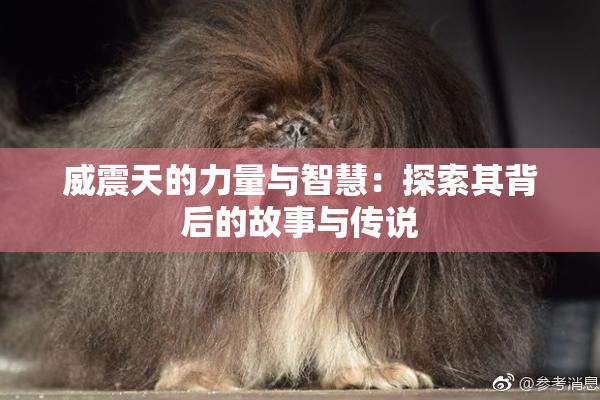 威震天的力量与智慧：探索其背后的故事与传说
