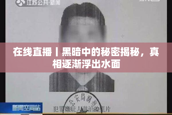 在线直播丨黑暗中的秘密揭秘，真相逐渐浮出水面