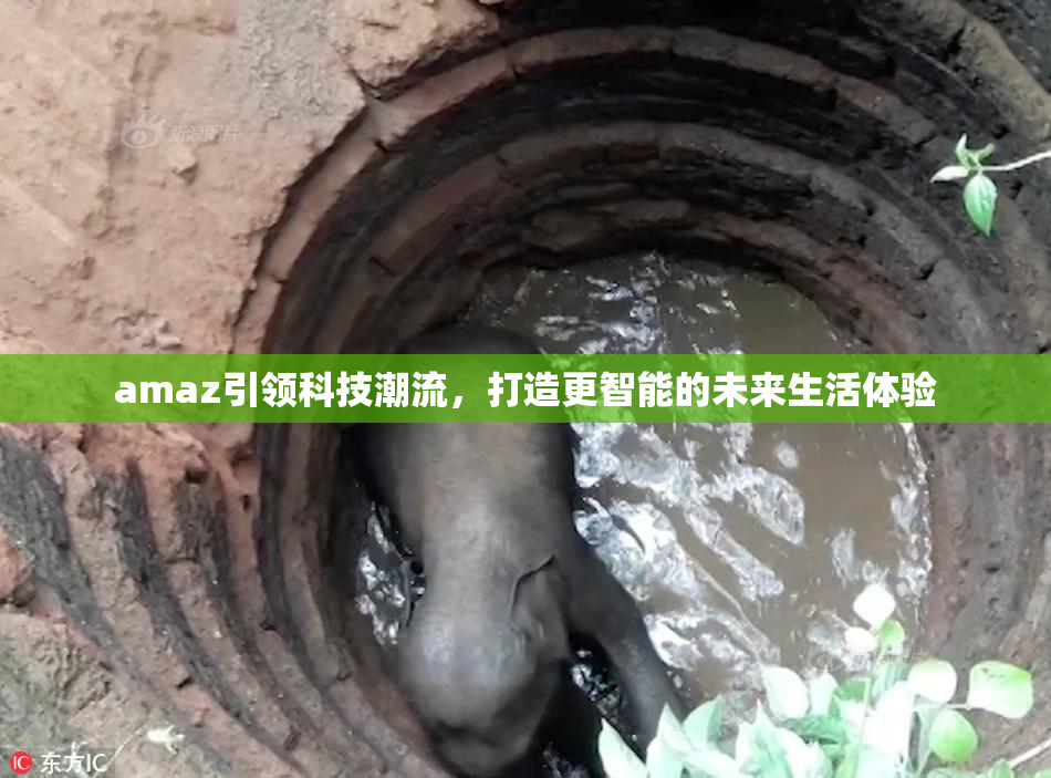 amaz引领科技潮流，打造更智能的未来生活体验