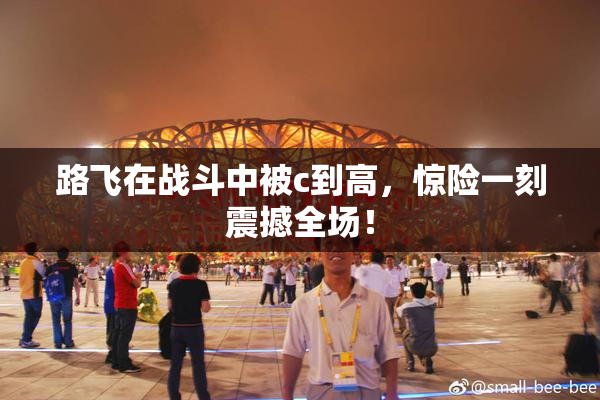 路飞在战斗中被c到高，惊险一刻震撼全场！